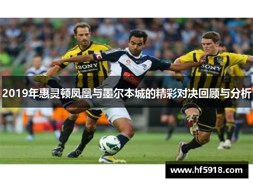 2019年惠灵顿凤凰与墨尔本城的精彩对决回顾与分析